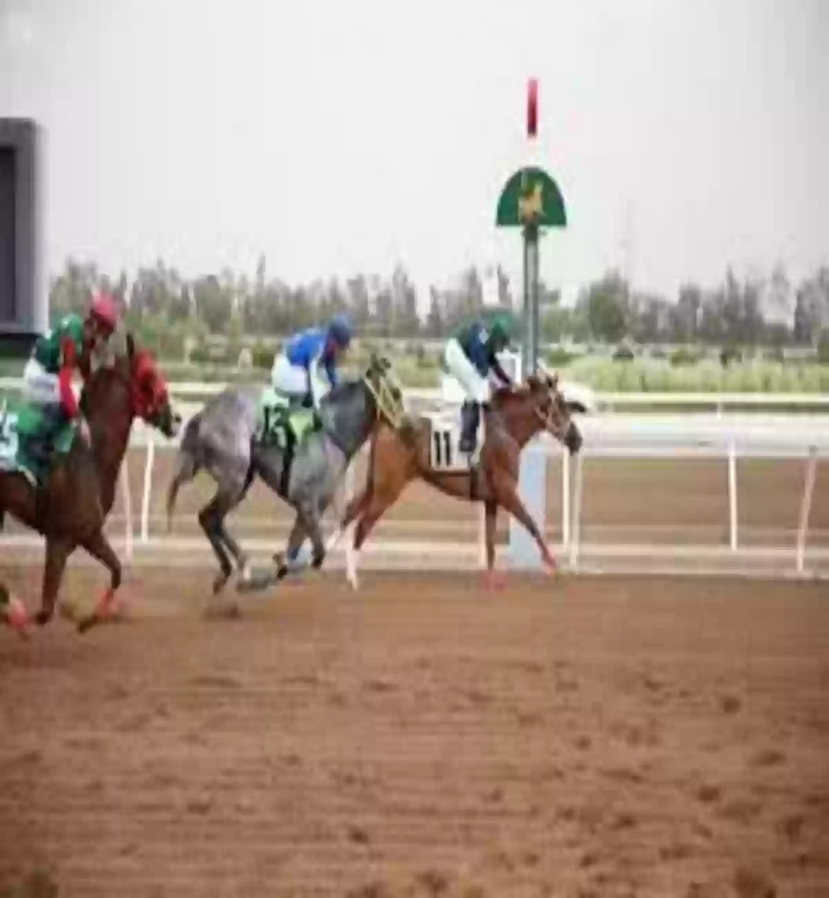سباقات الخيل في السعودية