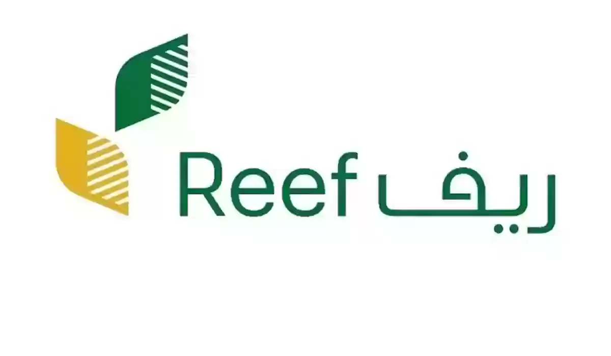 طريقة التقديم على دعم ريف وشروط الاستحقاق ومبلغ الدعم