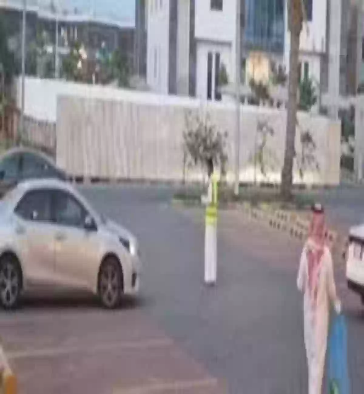 الجمعية السعودية للذوق العام
