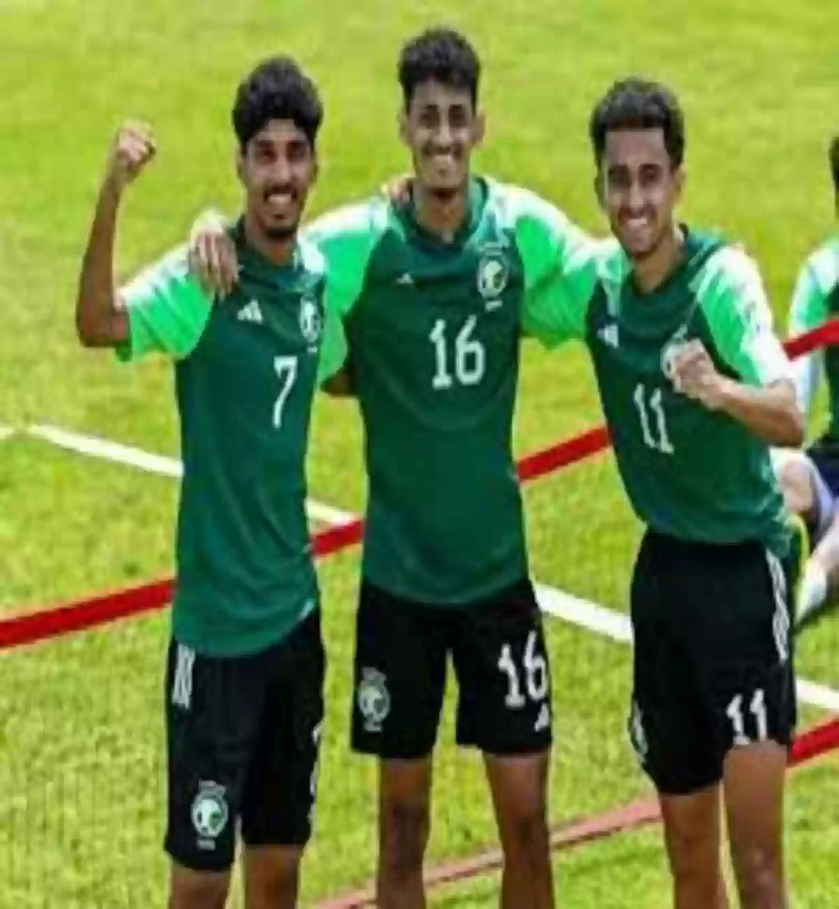 الأخضر السعودي