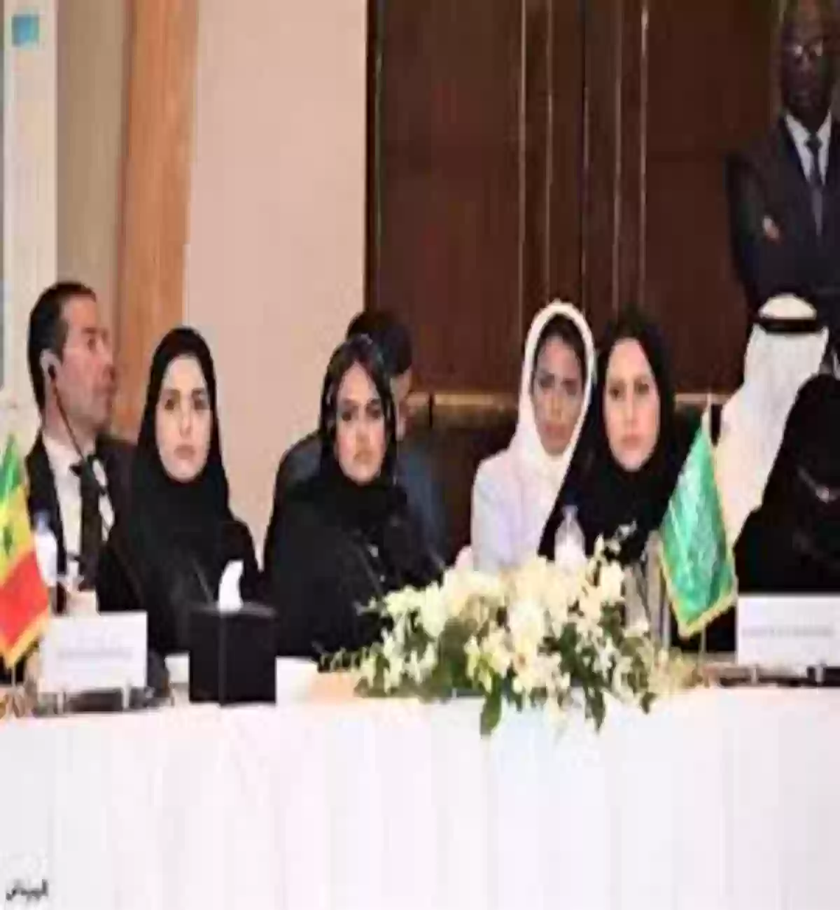 الأمين العام لمجلس شؤون الأسرة