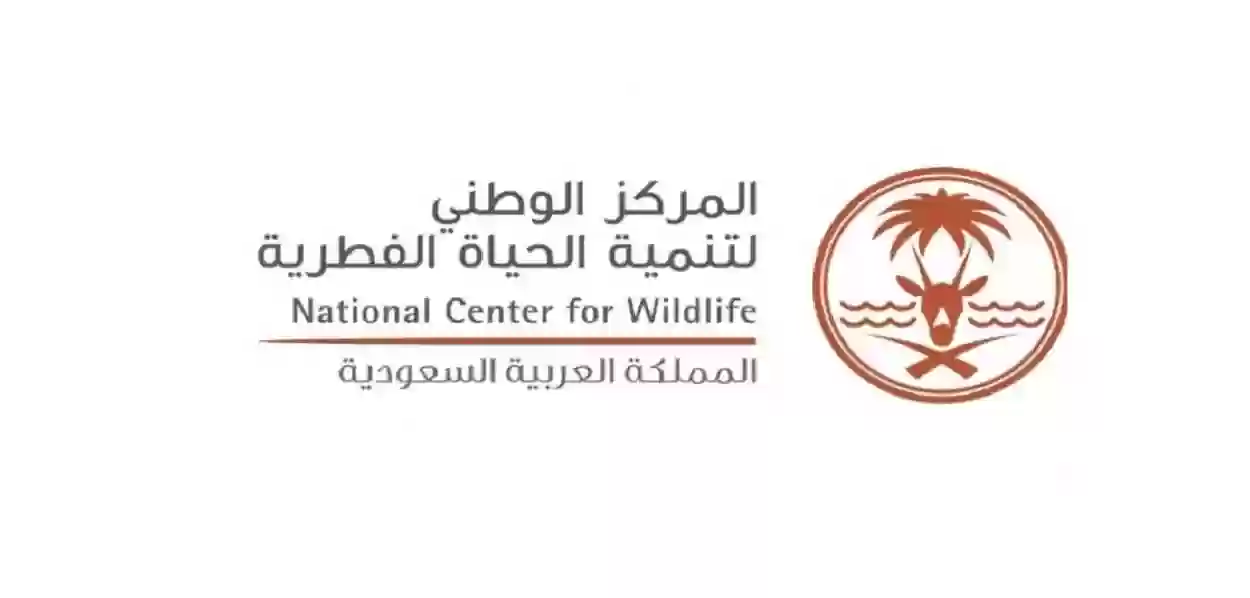 التعليق الأول من
