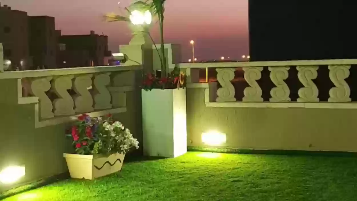 اختفى فجأة وعندما ظهر تم تصويره في مقطع طريف