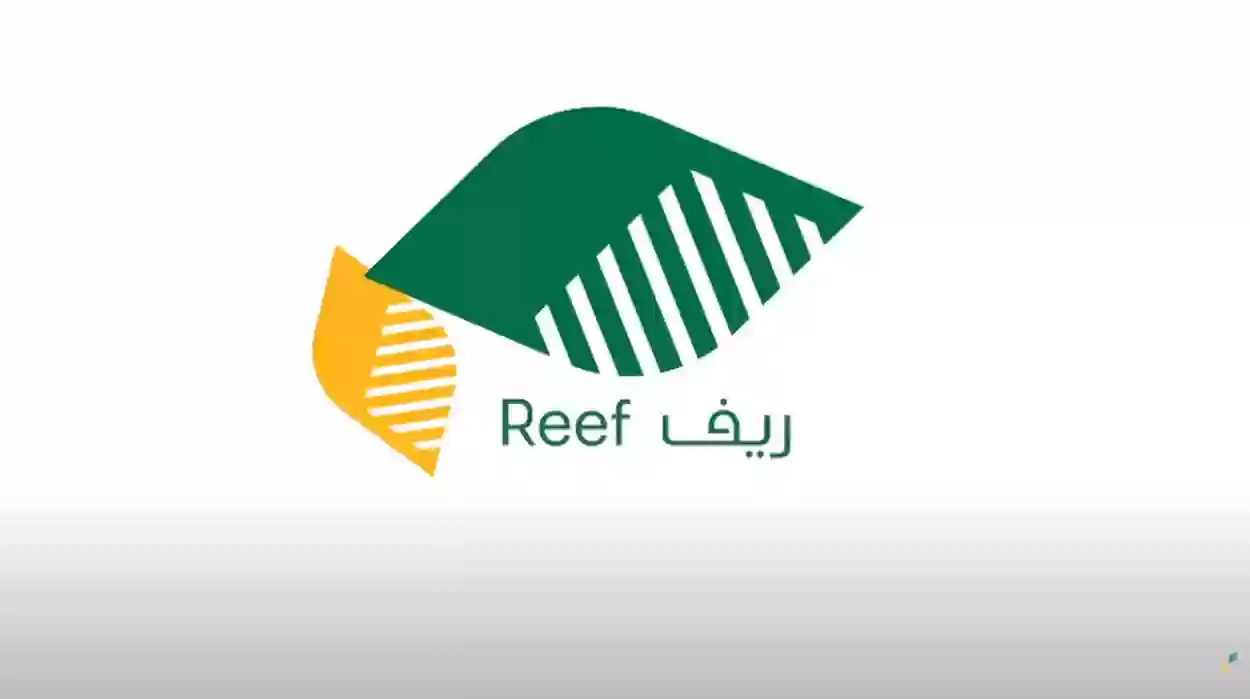 دعم ريف