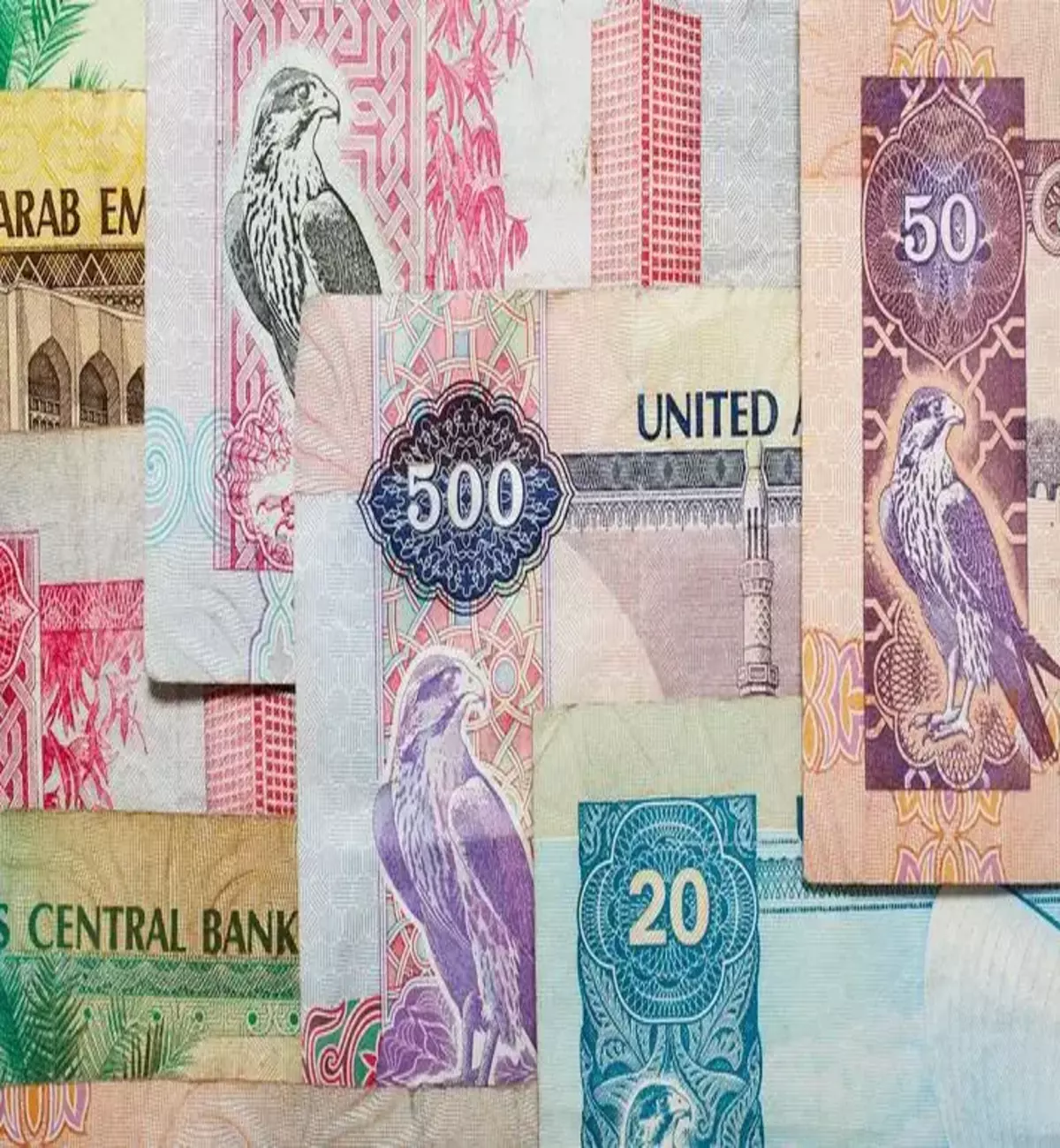 الإمارات ستاليون