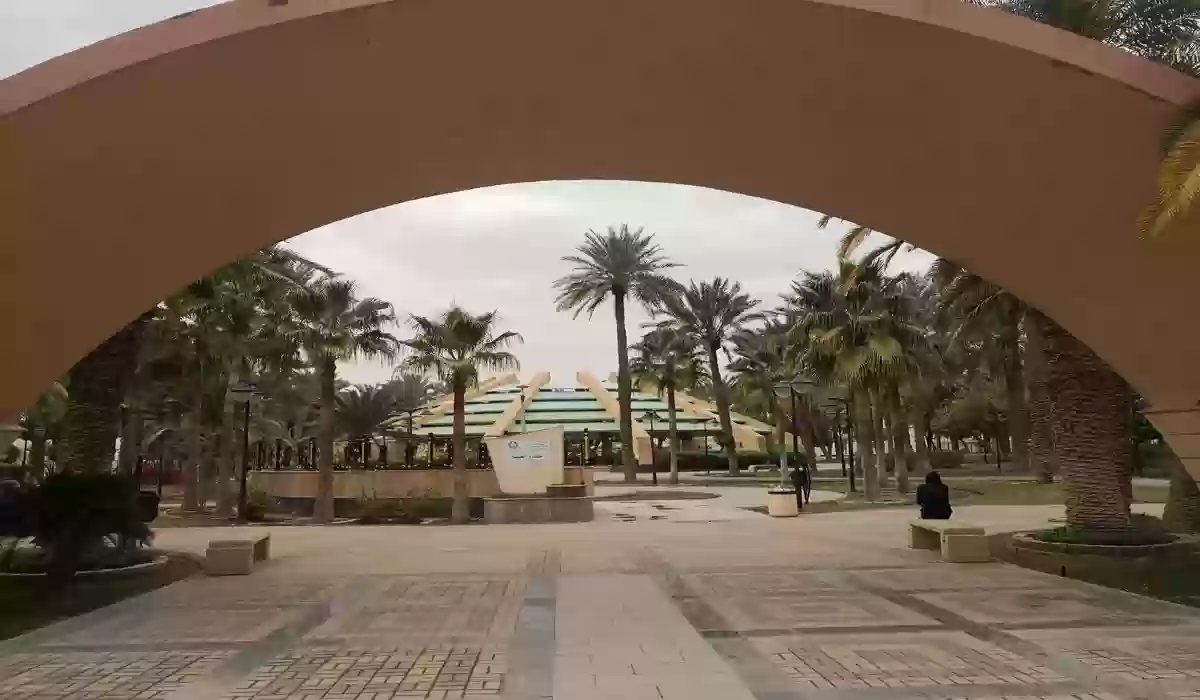 الأنشطة الترفيهية في حديقة العليا الرياض