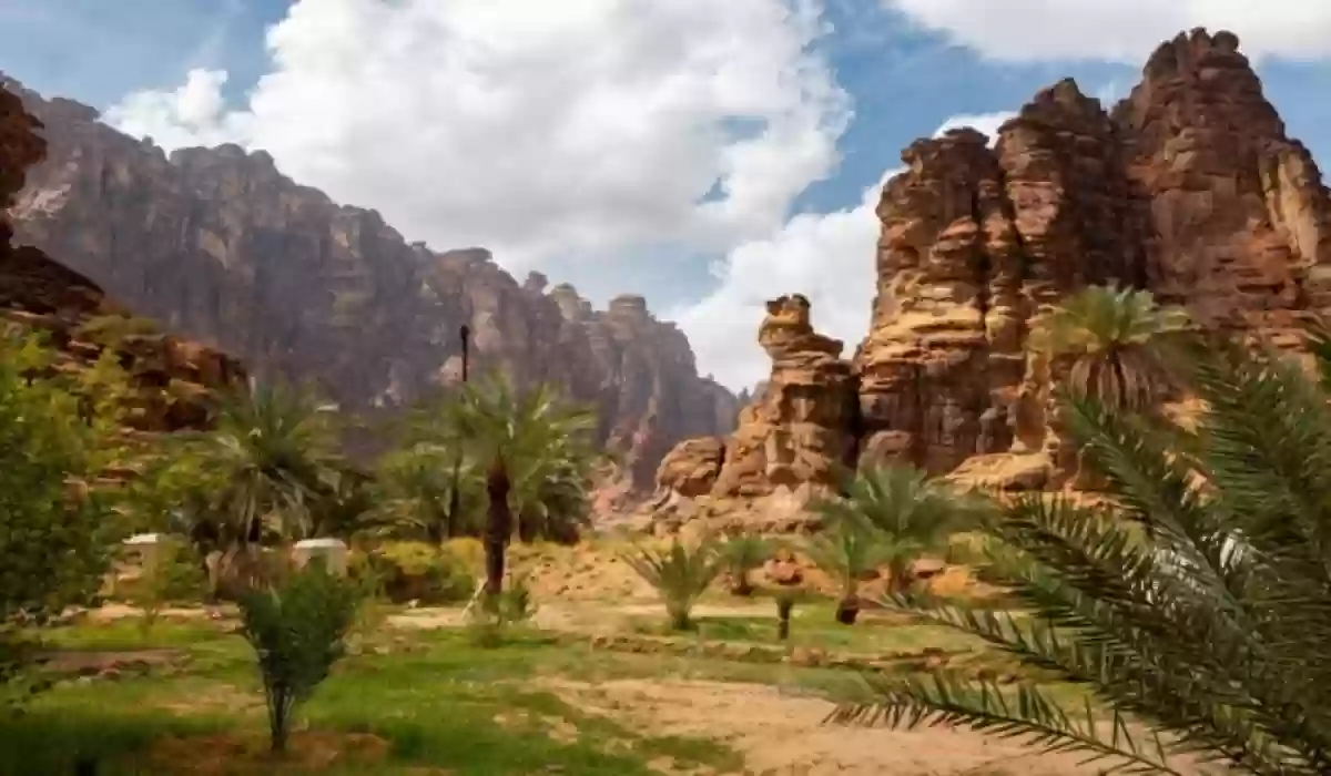 اكتشف أجمل ما في السعودية: دليل أفضل الأنشطة في المملكة العربية السعودية