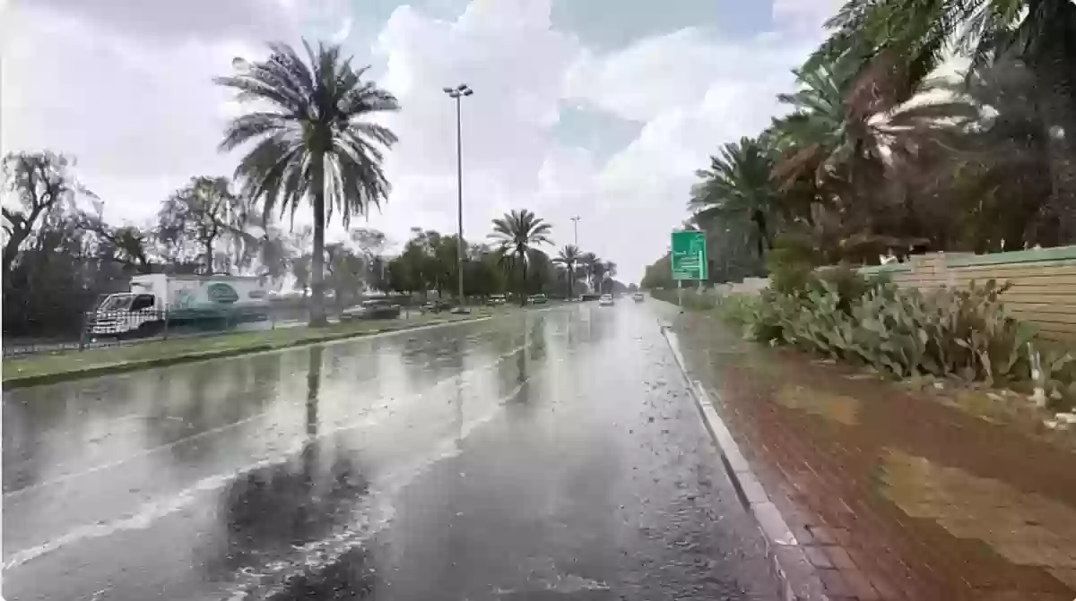 أمطار رعدية وسيول مثيرة للأتربة والغبار على هذه المناطق
