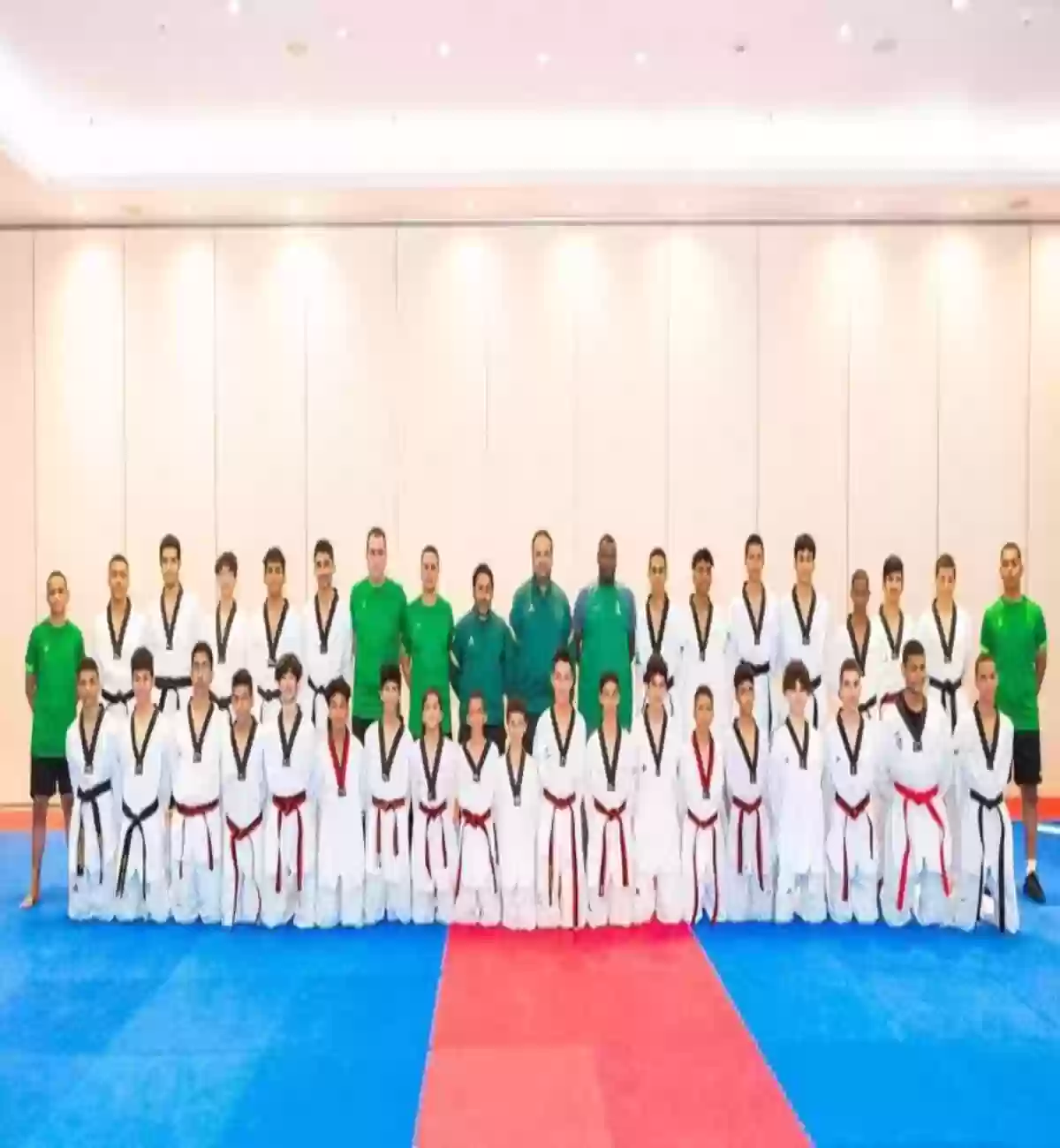 الإتحاد السعودي للتايكواندو