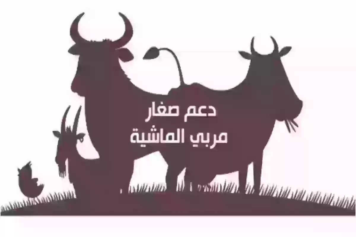 بشروط بسيطة .. التسجيل في دعم المواشي 1445 mewa.gov.sa وزراة البيئة