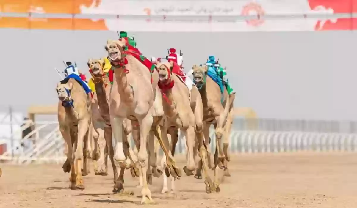 رفع قيمة جائزة